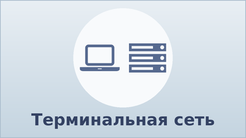 Терминальная сеть